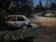 Incendio en Grecia fuera de control devora 12.600 hectáreas Coche calcinado junto a árboles quemados tras un grave incendio en Grecia.