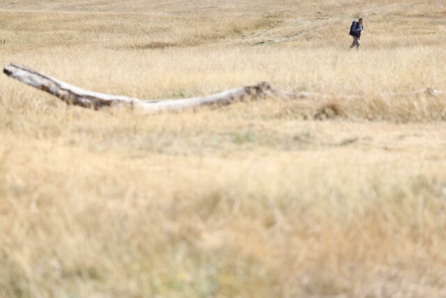 Campo totalmente seco e árido en Inglaterra con una persona caminando a lo lejos durante la sequía.
