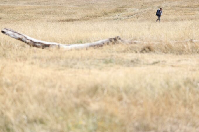 Inglaterra declara sequía repentina en el 71% de su territorio Campo totalmente seco e árido en Inglaterra con una persona caminando a lo lejos durante la sequía.